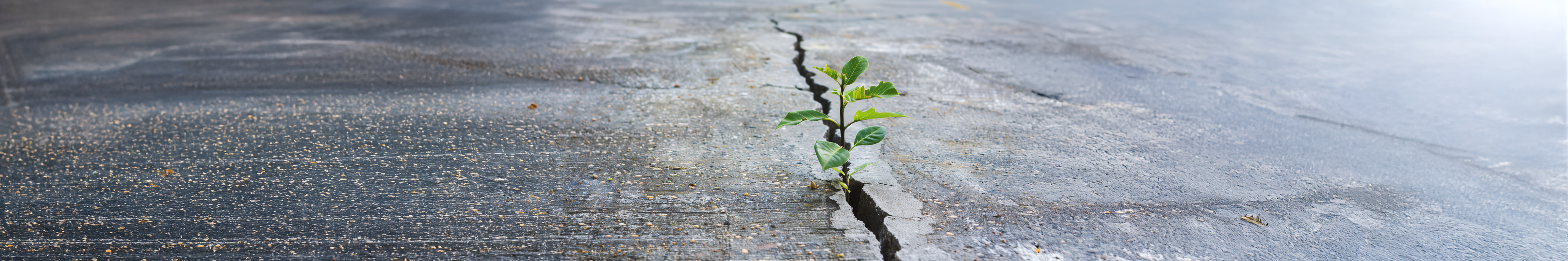 Building Resilience: A Wellness Program for Professionals Working in the Criminal Legal System