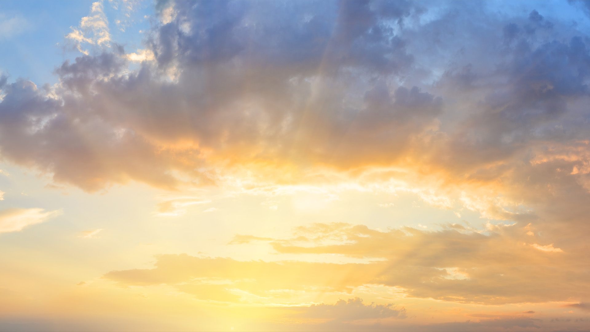 Survival to Service: Breaking the Loop of Harm and Suffering