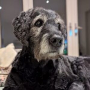 Profile photo of Jennifer